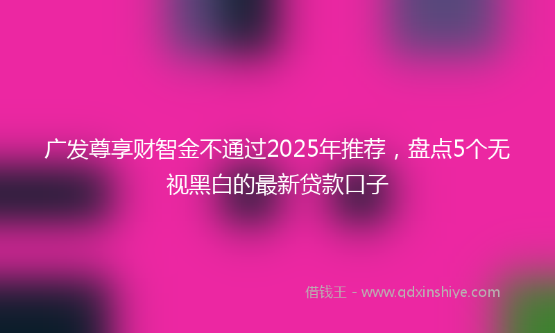 广发尊享财智金不通过2025年推荐，盘点5个无视黑白的最新贷款口子