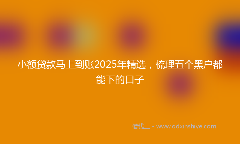 小额贷款马上到账2025年精选，梳理五个黑户都能下的口子