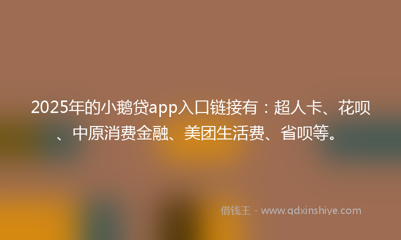 2025年的小鹅贷app入口链接有：超人卡、花呗、中原消费金融、美团生活费、省呗等。