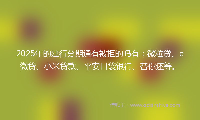 2025年的建行分期通有被拒的吗有：微粒贷、e微贷、小米贷款、平安口袋银行、替你还等。