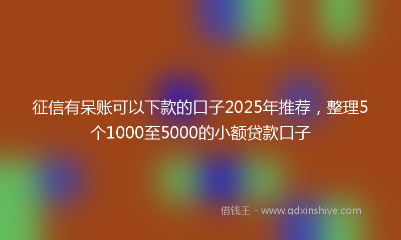 征信有呆账可以下款的口子2025年推荐，整理5个1000至5000的小额贷款口子
