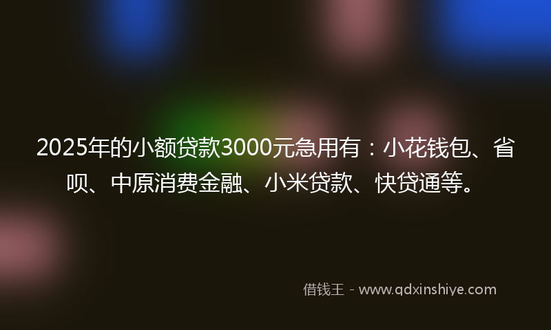 2025年的小额贷款3000元急用有：小花钱包、省呗、中原消费金融、小米贷款、快贷通等。