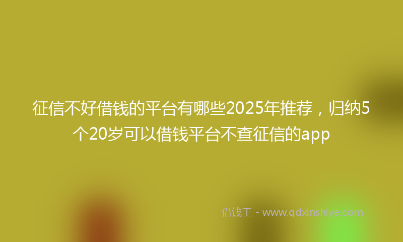 征信不好借钱的平台有哪些2025年推荐，归纳5个20岁可以借钱平台不查征信的app