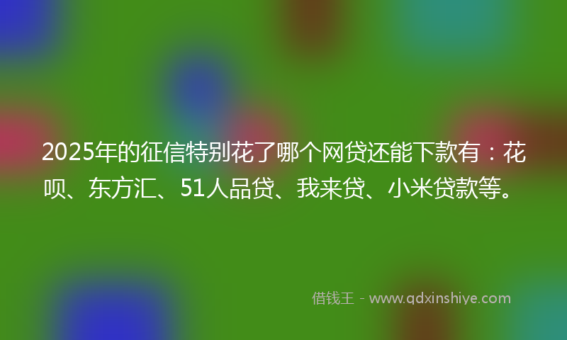 2025年的征信特别花了哪个网贷还能下款有：花呗、东方汇、51人品贷、我来贷、小米贷款等。