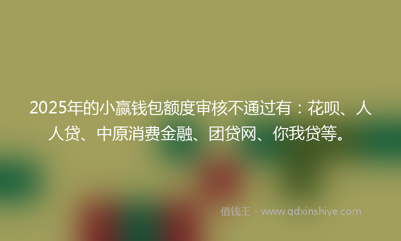 2025年的小赢钱包额度审核不通过有：花呗、人人贷、中原消费金融、团贷网、你我贷等。