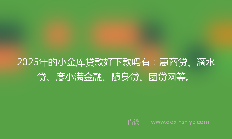 2025年的小金库贷款好下款吗有：惠商贷、滴水贷、度小满金融、随身贷、团贷网等。