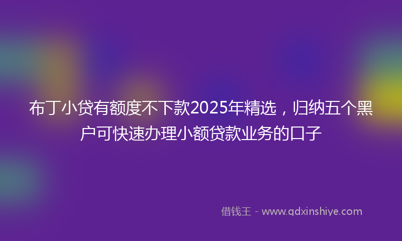 布丁小贷有额度不下款2025年精选，归纳五个黑户可快速办理小额贷款业务的口子