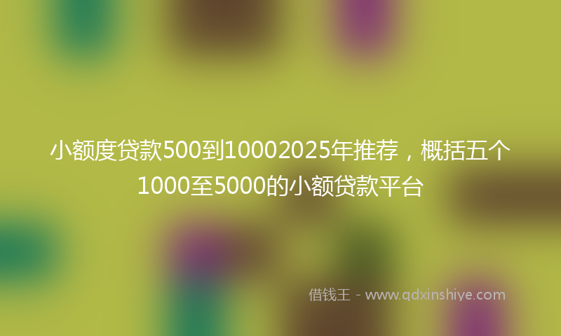 小额度贷款500到10002025年推荐，概括五个1000至5000的小额贷款平台