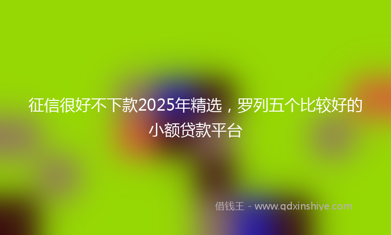 征信很好不下款2025年精选，罗列五个比较好的小额贷款平台