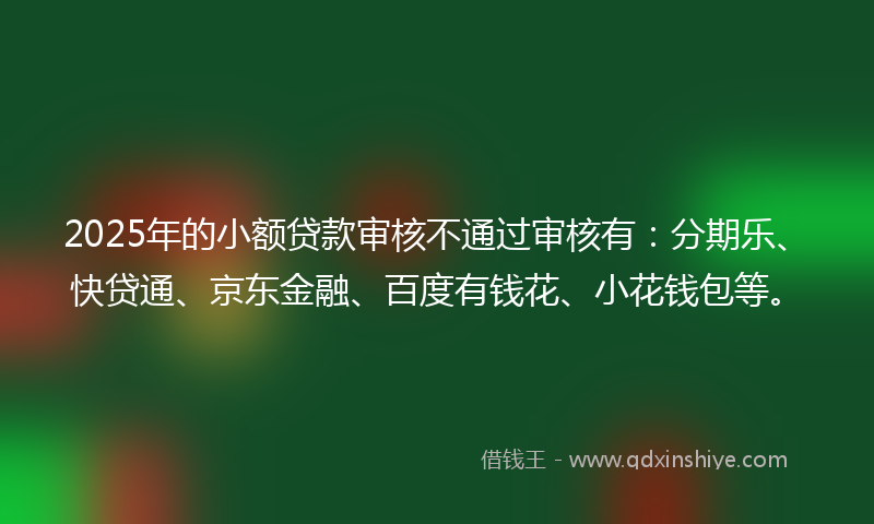 2025年的小额贷款审核不通过审核有：分期乐、快贷通、京东金融、百度有钱花、小花钱包等。