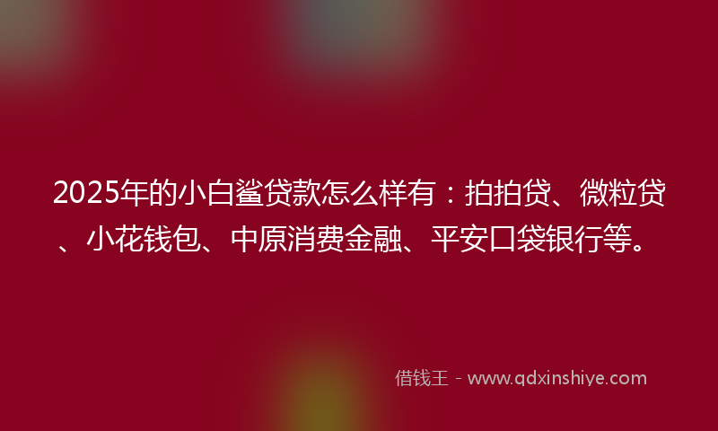 2025年的小白鲨贷款怎么样有：拍拍贷、微粒贷、小花钱包、中原消费金融、平安口袋银行等。