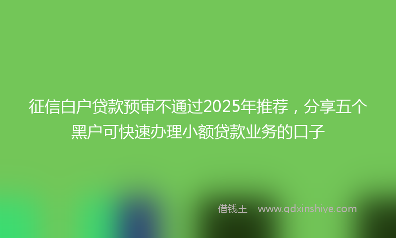 征信白户贷款预审不通过2025年推荐，分享五个黑户可快速办理小额贷款业务的口子