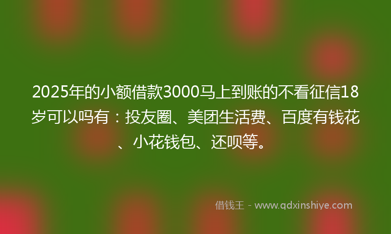 2025年的小额借款3000马上到账的不看征信18岁可以吗有：投友圈、美团生活费、百度有钱花、小花钱包、还呗等。