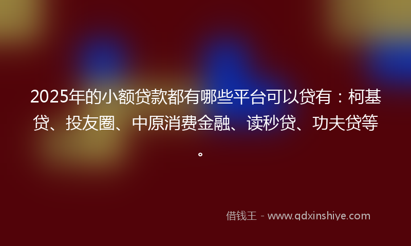 2025年的小额贷款都有哪些平台可以贷有：柯基贷、投友圈、中原消费金融、读秒贷、功夫贷等。