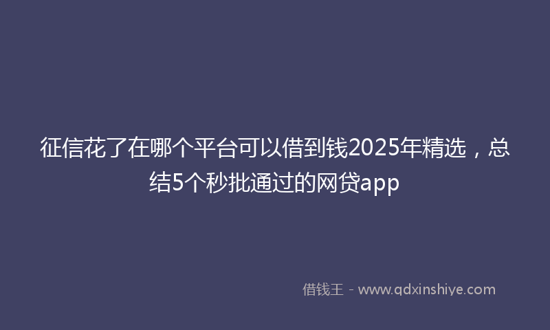 征信花了在哪个平台可以借到钱2025年精选，总结5个秒批通过的网贷app