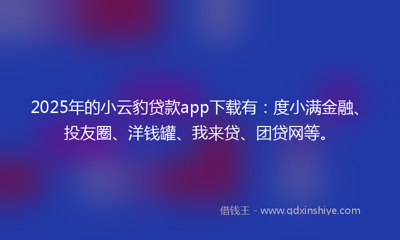 2025年的小云豹贷款app下载有：度小满金融、投友圈、洋钱罐、我来贷、团贷网等。
