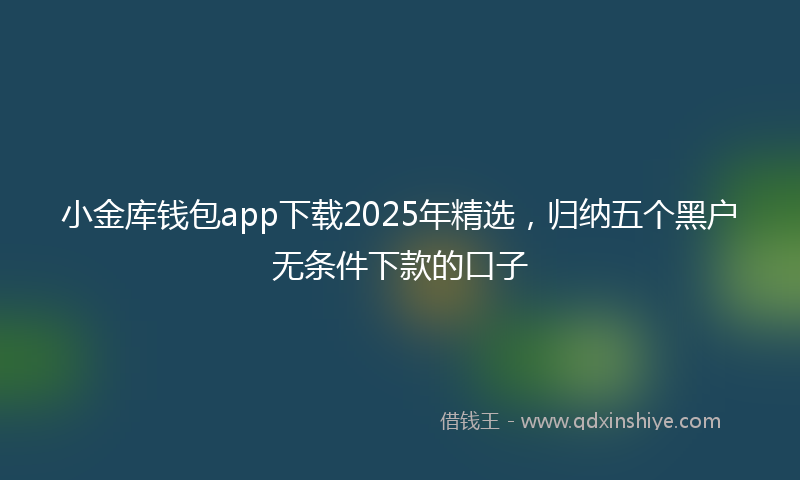 小金库钱包app下载2025年精选，归纳五个黑户无条件下款的口子