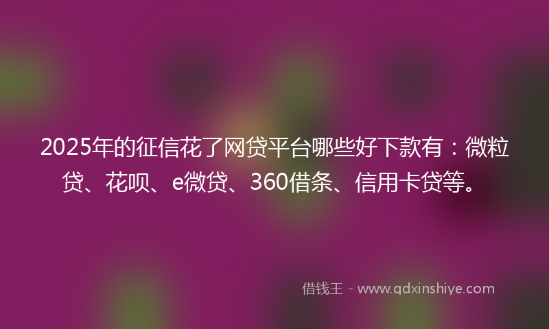 2025年的征信花了网贷平台哪些好下款有：微粒贷、花呗、e微贷、360借条、信用卡贷等。