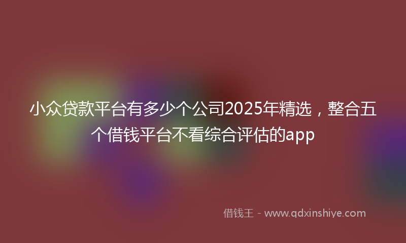 小众贷款平台有多少个公司2025年精选，整合五个借钱平台不看综合评估的app