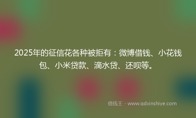 2025年的征信花各种被拒有：微博借钱、小花钱包、小米贷款、滴水贷、还呗等。