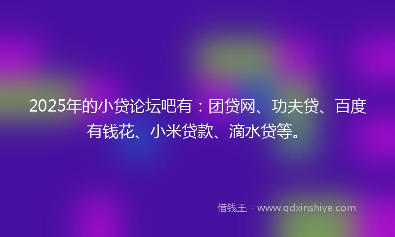 2025年的小贷论坛吧有：团贷网、功夫贷、百度有钱花、小米贷款、滴水贷等。