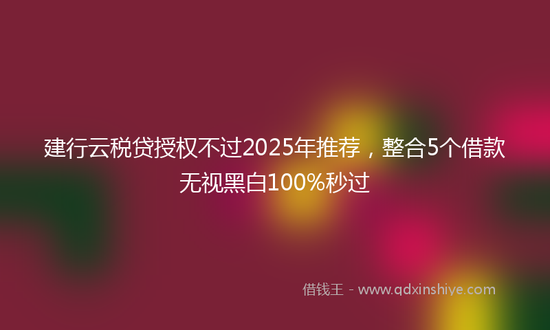 建行云税贷授权不过2025年推荐，整合5个借款无视黑白100%秒过