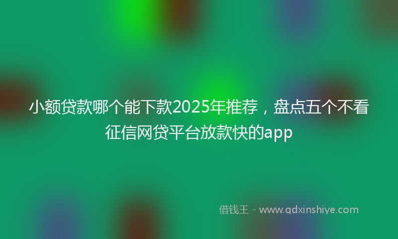 小额贷款哪个能下款2025年推荐，盘点五个不看征信网贷平台放款快的app