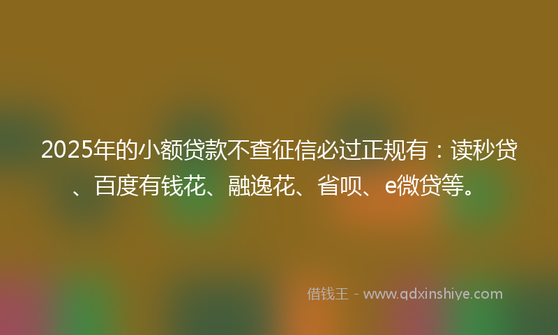 2025年的小额贷款不查征信必过正规有：读秒贷、百度有钱花、融逸花、省呗、e微贷等。