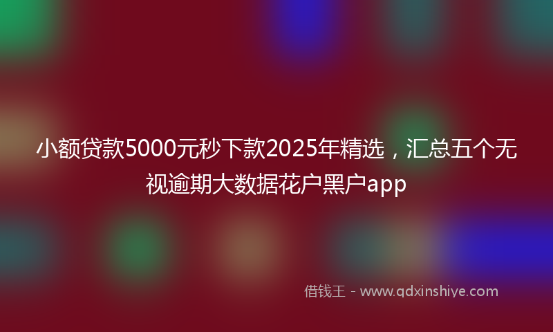 小额贷款5000元秒下款2025年精选，汇总五个无视逾期大数据花户黑户app
