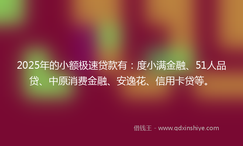 2025年的小额极速贷款有：度小满金融、51人品贷、中原消费金融、安逸花、信用卡贷等。