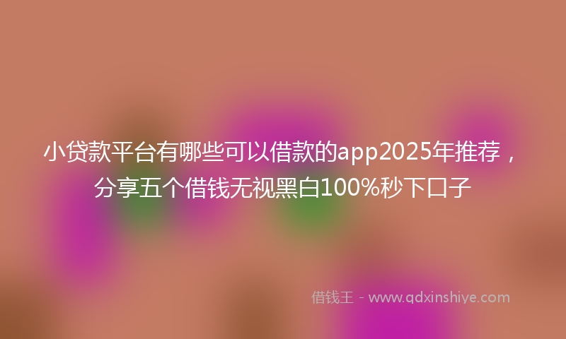 小贷款平台有哪些可以借款的app2025年推荐，分享五个借钱无视黑白100%秒下口子