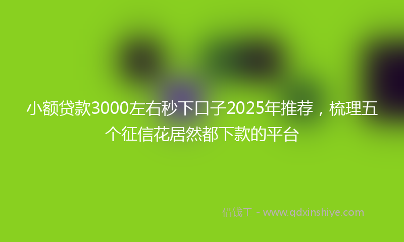 小额贷款3000左右秒下口子2025年推荐，梳理五个征信花居然都下款的平台
