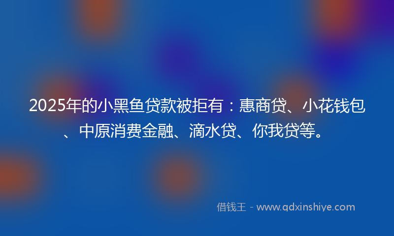 2025年的小黑鱼贷款被拒有：惠商贷、小花钱包、中原消费金融、滴水贷、你我贷等。