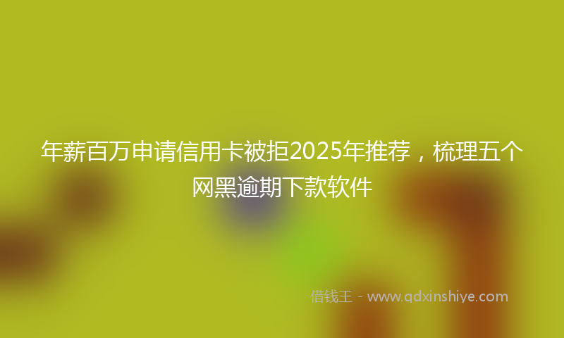 年薪百万申请信用卡被拒2025年推荐，梳理五个网黑逾期下款软件