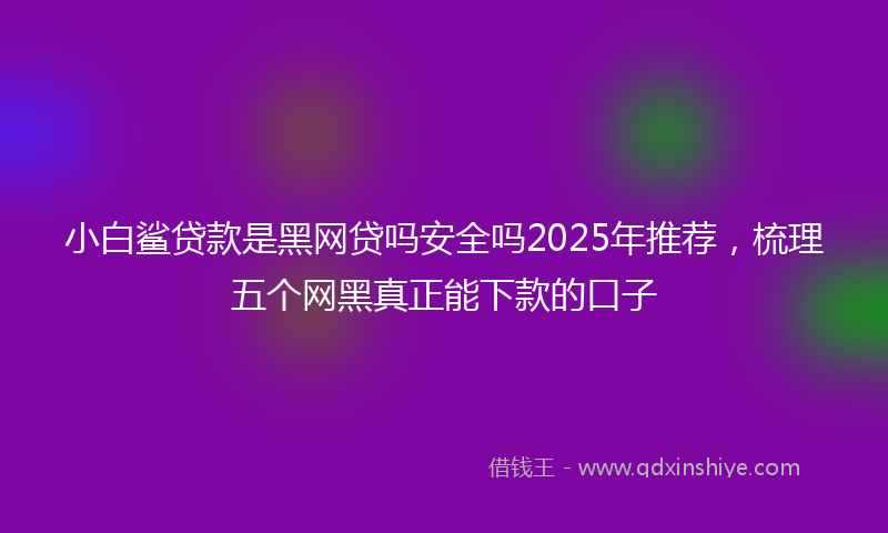小白鲨贷款是黑网贷吗安全吗2025年推荐，梳理五个网黑真正能下款的口子