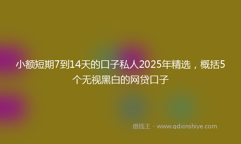 小额短期7到14天的口子私人2025年精选，概括5个无视黑白的网贷口子