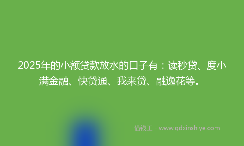2025年的小额贷款放水的口子有：读秒贷、度小满金融、快贷通、我来贷、融逸花等。