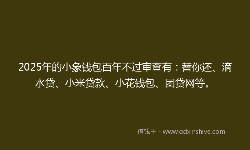 2025年的小象钱包百年不过审查有：替你还、滴水贷、小米贷款、小花钱包、团贷网等。