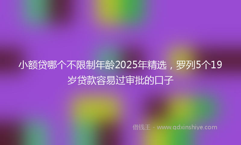 小额贷哪个不限制年龄2025年精选，罗列5个19岁贷款容易过审批的口子