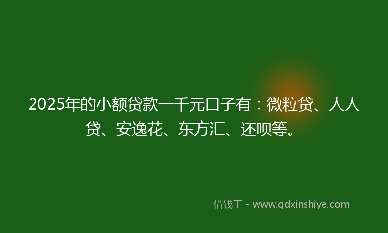 2025年的小额贷款一千元口子有：微粒贷、人人贷、安逸花、东方汇、还呗等。