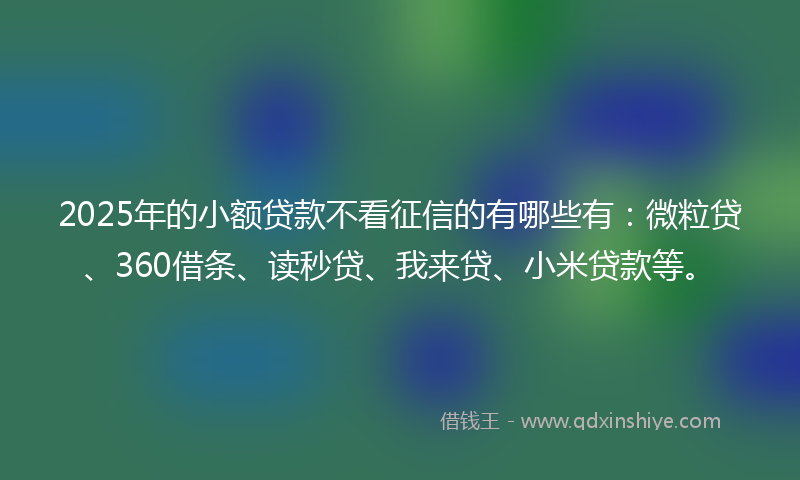 2025年的小额贷款不看征信的有哪些有：微粒贷、360借条、读秒贷、我来贷、小米贷款等。