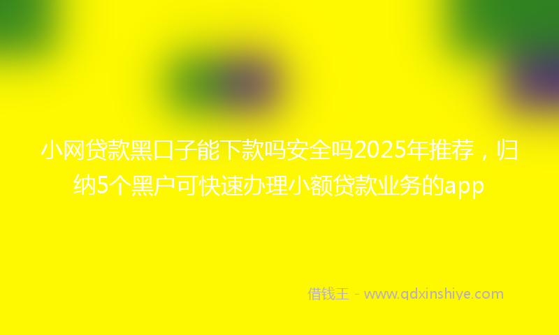 小网贷款黑口子能下款吗安全吗2025年推荐，归纳5个黑户可快速办理小额贷款业务的app