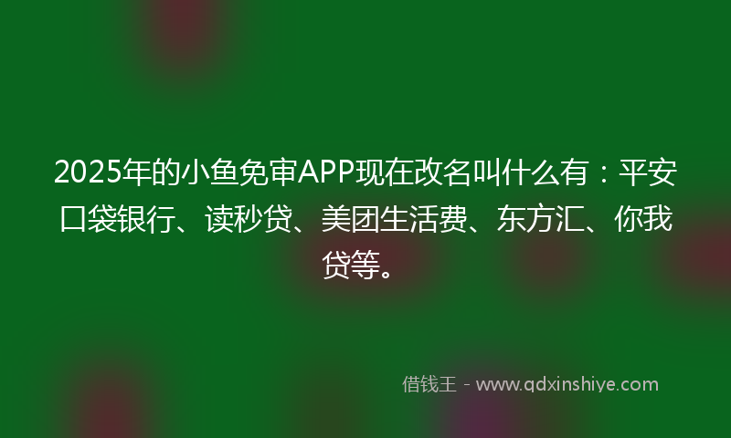 2025年的小鱼免审APP现在改名叫什么有：平安口袋银行、读秒贷、美团生活费、东方汇、你我贷等。