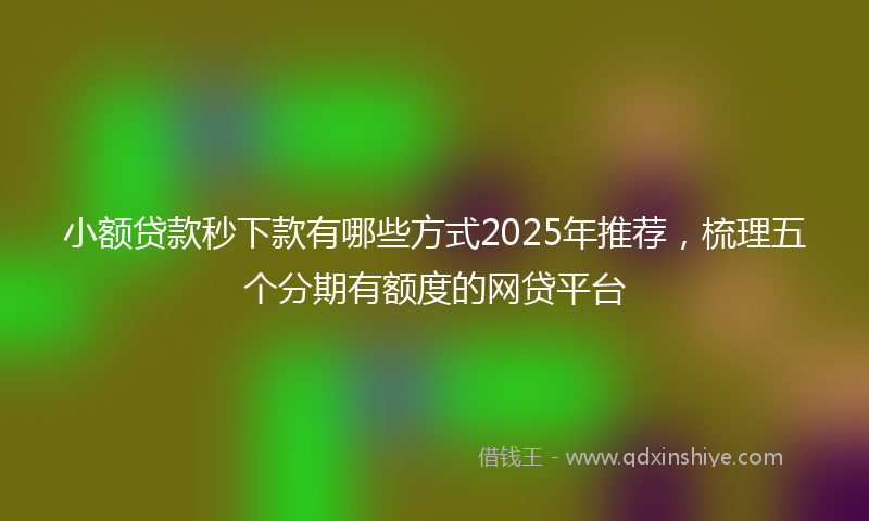 小额贷款秒下款有哪些方式2025年推荐，梳理五个分期有额度的网贷平台