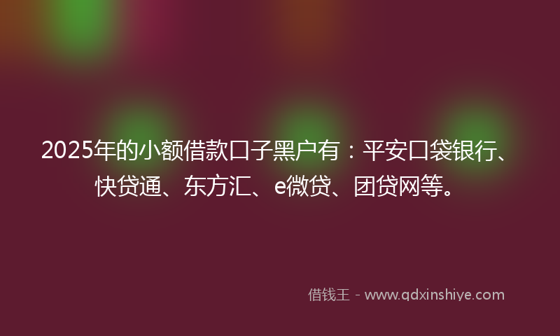 2025年的小额借款口子黑户有：平安口袋银行、快贷通、东方汇、e微贷、团贷网等。