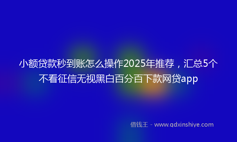 小额贷款秒到账怎么操作2025年推荐，汇总5个不看征信无视黑白百分百下款网贷app