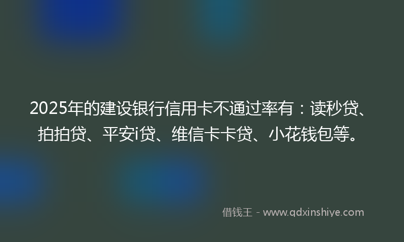 2025年的建设银行信用卡不通过率有：读秒贷、拍拍贷、平安i贷、维信卡卡贷、小花钱包等。