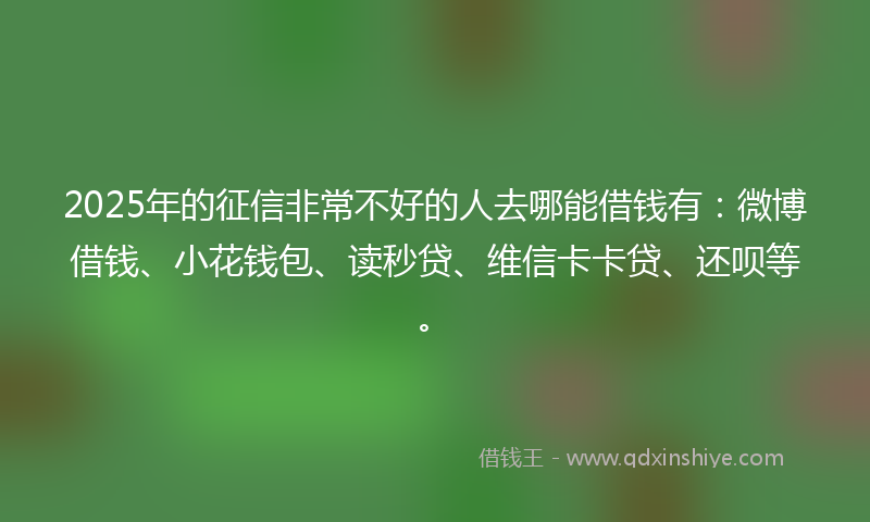 2025年的征信非常不好的人去哪能借钱有：微博借钱、小花钱包、读秒贷、维信卡卡贷、还呗等。