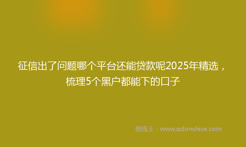 征信出了问题哪个平台还能贷款呢2025年精选，梳理5个黑户都能下的口子