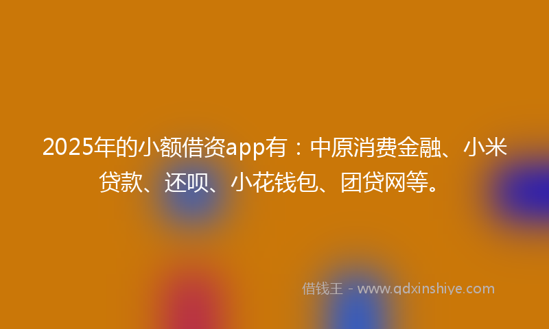 2025年的小额借资app有：中原消费金融、小米贷款、还呗、小花钱包、团贷网等。
